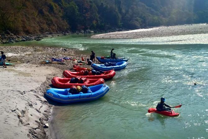 1 Day Trishuli Rafting from Pokhara - On the Water: Trishuli’s Grade 2–3 Rapids (What to Expect)