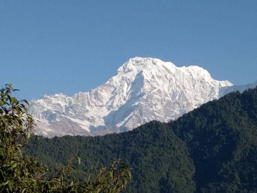 1 N 2 Days easy Dhampus,Australian camp trek from Pokhara - Guides make it feel easy: pace, safety, and real conversations