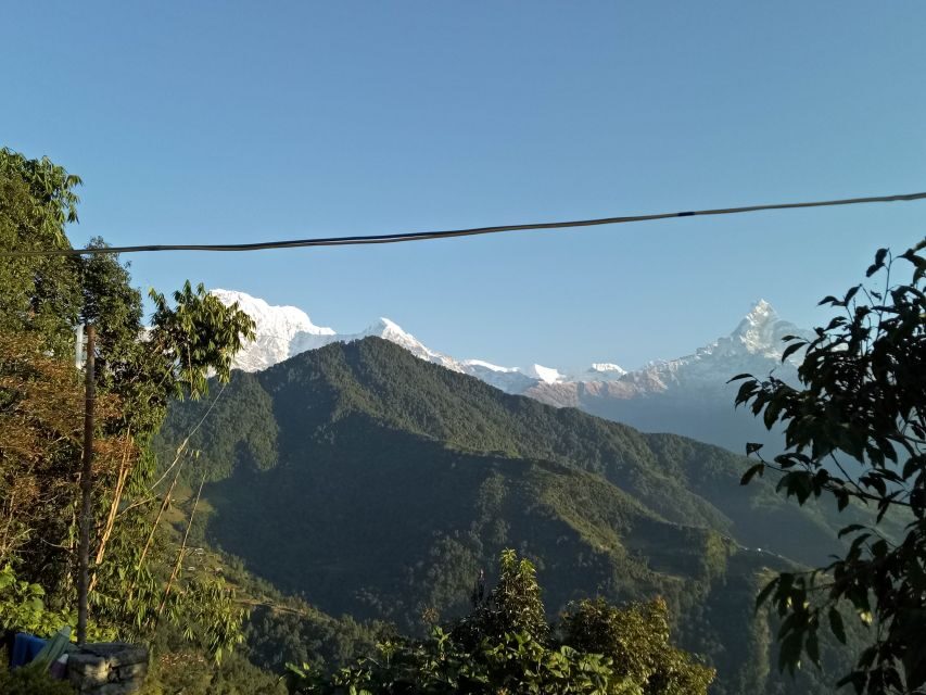 1 N 2 Days easy Dhampus,Australian camp trek from Pokhara - Should you book this trek from Pokhara?