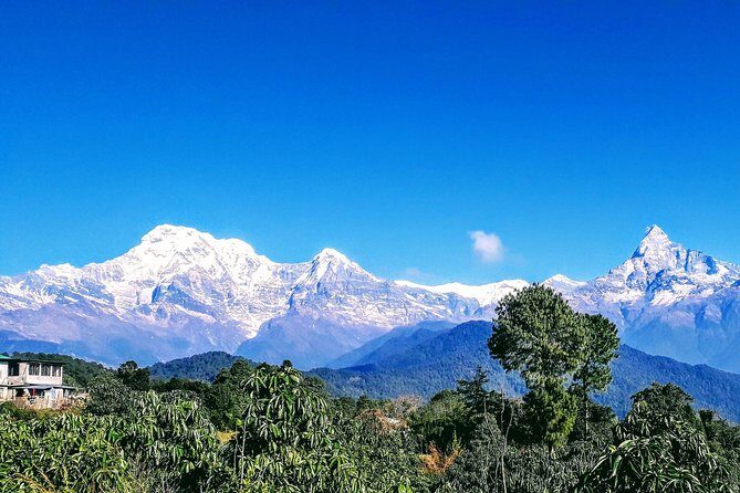 1 Night 2 Days Best Hiking in Pokhara - Getting There: Pickup, Meeting Point, and the Day-1 Start