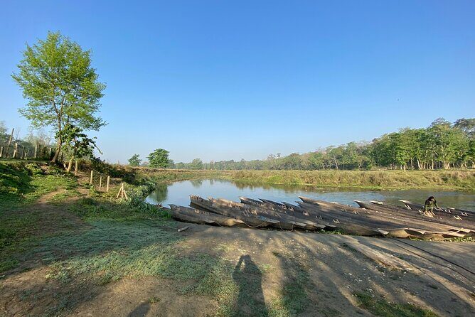 1 Night 2 Days Chitwan Jungle Safari Tour - Food and Hotel: Included, but Still Worth Your Attention