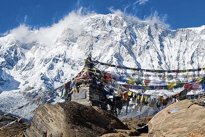 10 days Annapurna Base Camp Trek - From Chhomrong to Sinuwa and Dovan: oak, rhododendron, and that forest-to-ridge feeling