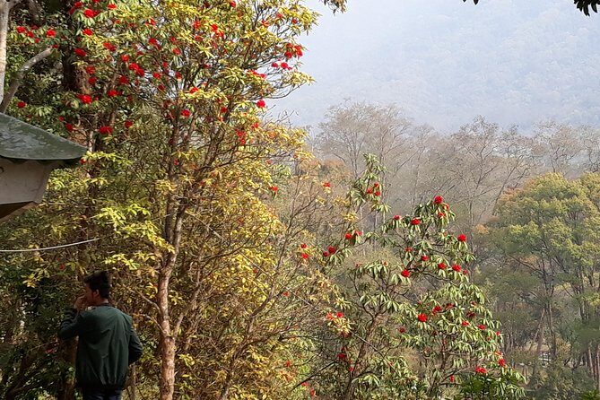 10 days Annapurna Base Camp Trek - Deurali on Day 5: waterfalls, caves, and a shorter but scenic day