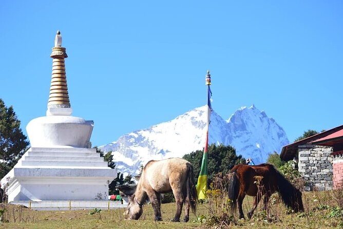 12 Day Private Mt. Everest View Luxury Trek - Luxury lodge comfort at altitude: the small inclusions you’ll actually feel