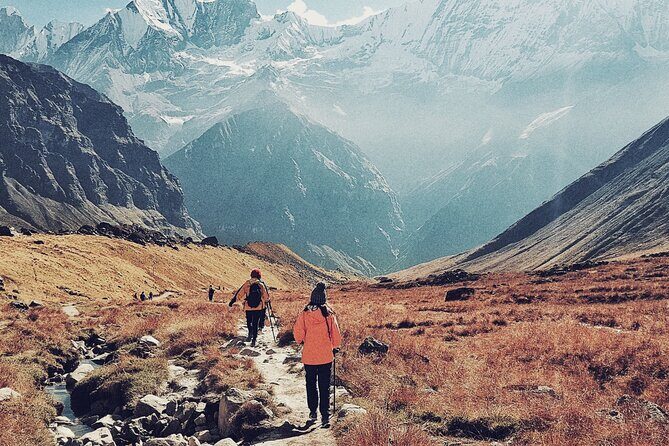 14 days Annapurna Base Camp Trek - Day 4 to Ulleri: terraced hills and the first real climb