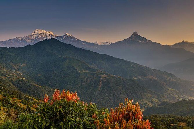 14 days Annapurna Base Camp Trek - Bamboo Village and the 2000+ steps: where your legs renegotiate their contract