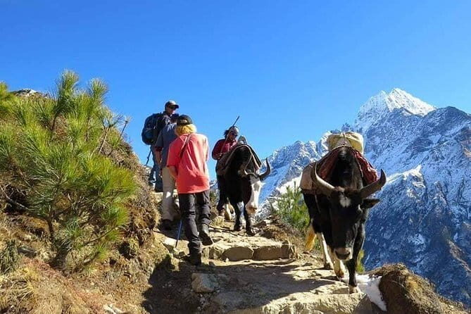 14 Days Everest Base Camp Trekking - Dingboche region: crossing toward Pangboche and Ama Dablam views (Day 6)