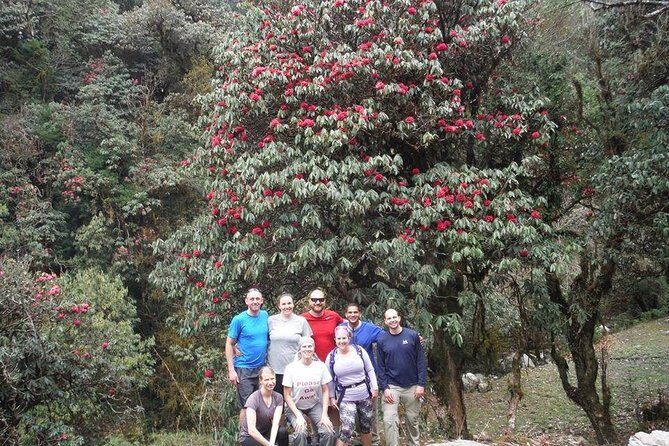 14 Days Luxury Annapurna Base Camp Trek - Days 7–10: Deurali solitude, Annapurna Base Camp, and Machhapuchhare sunrise