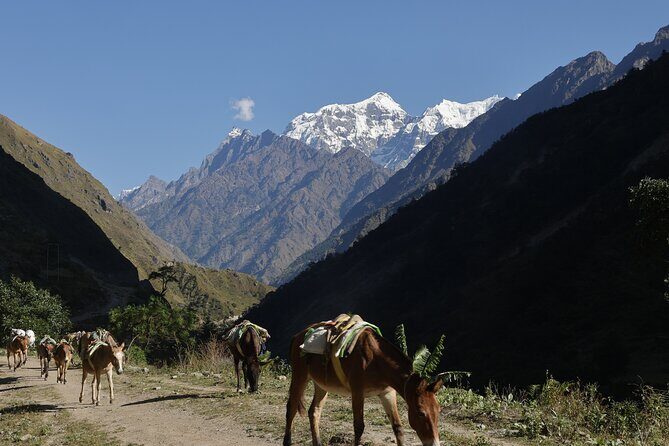 15 Days Manaslu Circuit Trek - Larke La Pass day: the long climb that earns the views