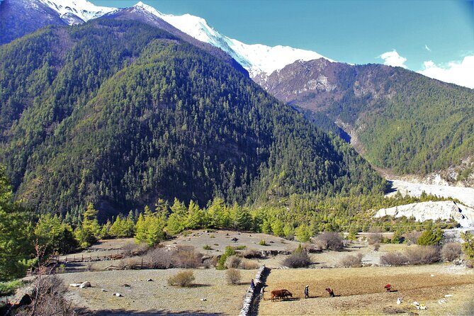 15 Days Round Annapurna Trek with Poon Hill from Pokhara - Price and Value: What $790 Covers (and what it doesn’t)