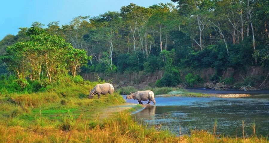 2 Days Chitwan Jungle Safari Tour from Pokhara/Kathmandu - The road trip part: bus comfort and timing reality checks