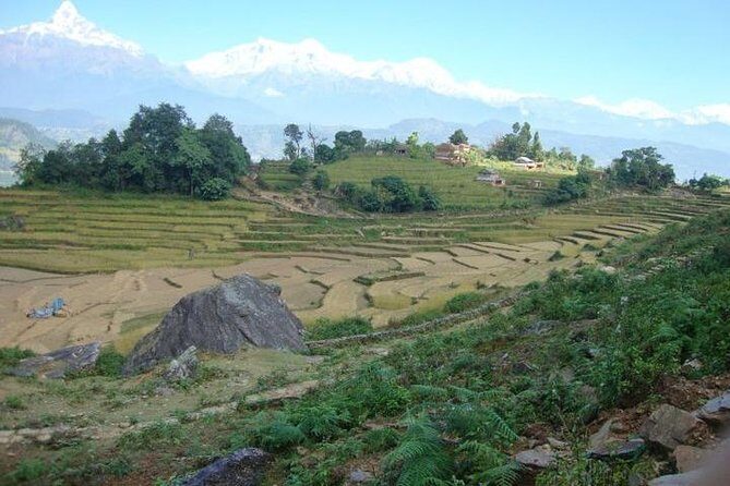 2 Days Panchase Hill Trek from Pokhara - Price and Value: Is $94 a Good Deal?