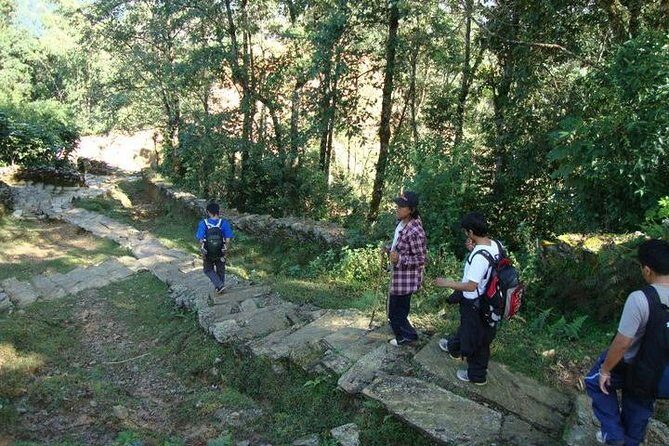 2 Days Panchase Hill Trek from Pokhara - Day 1 to Panchase Bhajyang: Forest Paths and Village Life