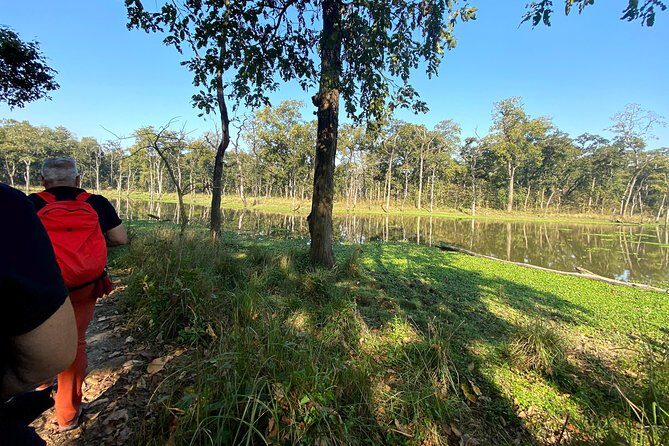 2 Hours Nature Walk in Chitwan National Park - Key points to know before you go