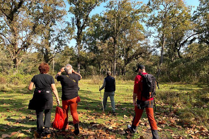 2 Hours Nature Walk in Chitwan National Park - A Gentle Chitwan Nature Walk That Fits Real Schedules