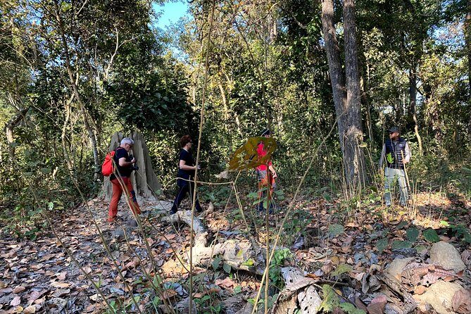 2 Hours Nature Walk in Chitwan National Park - Birds, Deer, and Peacocks: How Wildlife Watching Works on Foot