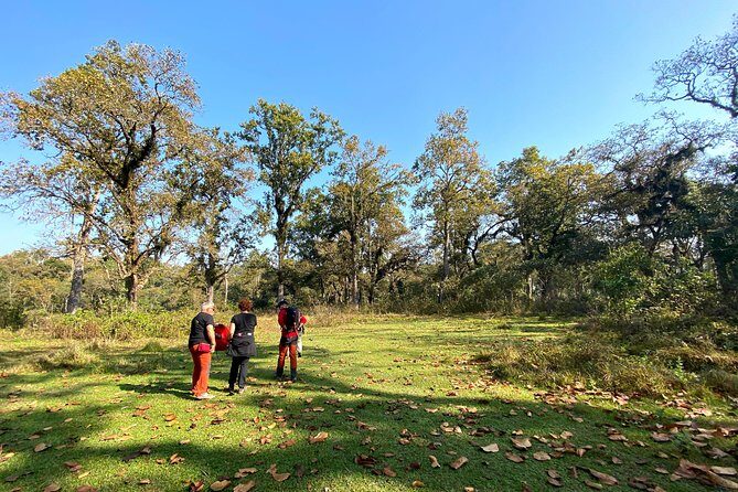 2 Hours Nature Walk in Chitwan National Park - Inside Chitwan National Park: What the Two-Hour Walk Feels Like