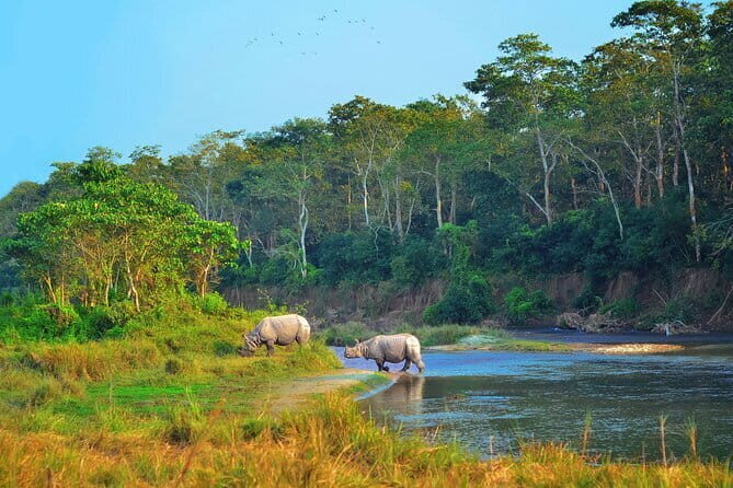 2 Night 3 Day Chitwan Jungle Safari Tour from Pokhara - Key highlights I’d plan around