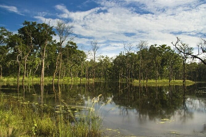 2 Night 3 Day Chitwan Jungle Safari Tour from Pokhara - From Pokhara to Sauraha: the drive day that sets expectations