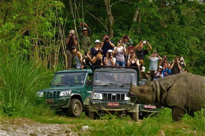 2 Night 3 Day Chitwan Jungle Safari Tour from Pokhara - Chitwan National Park by Jeep: the big day and how to make it count