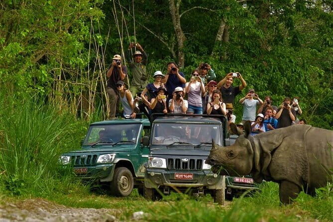 2 Nights 3 Days Chitwan National Park Package with Jeep Safari - Key highlights at a glance
