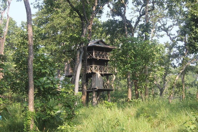 2 Nights 3 Days Chitwan National Park Package with Jeep Safari - Day 2 in Chitwan: Wildlife Day Built Around the Park’s Best Habitats