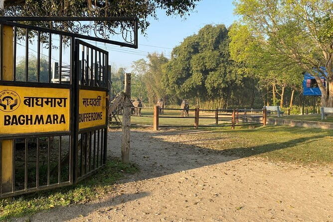 2 Nights 3 Days Chitwan National Park Package with Jeep Safari - Day 3: Breakfast, Final Transfers, and a Smooth Ride Back