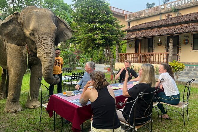 2 Nights 3 Days Chitwan National Park Package with Jeep Safari - What’s Included (and Why That Matters for Real Value)