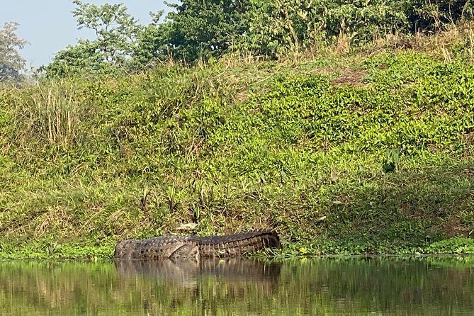 2 Nights 3 Days Chitwan Safari Tour from Kathmandu or Pokhara - A 3-Day Chitwan Plan That Doesn’t Waste Your Time
