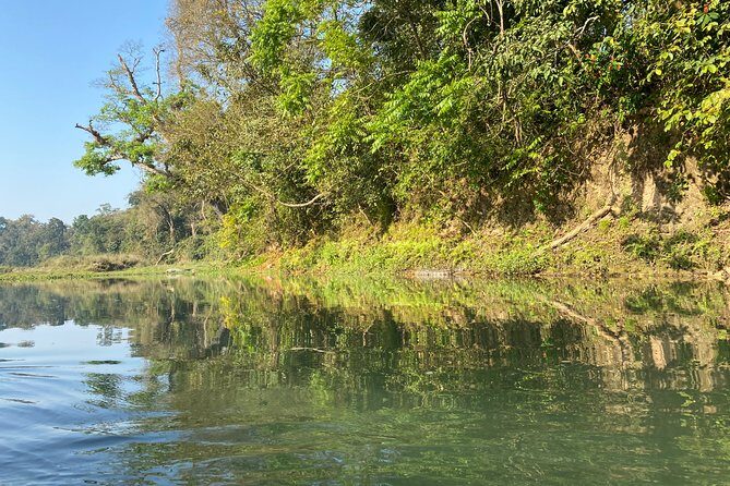 2 Nights 3 Days Chitwan Safari Tour from Kathmandu or Pokhara - Day 2: Jeep Safari, Jungle Museum, and a Tharu Culture Show