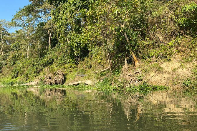 2 Nights 3 Days Chitwan Safari Tour from Kathmandu or Pokhara - Day 3: Bird Watching Morning + Return to Kathmandu or Pokhara