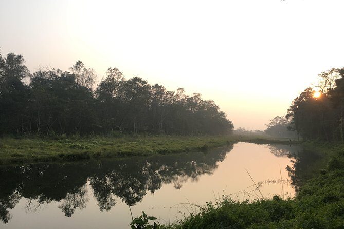 2 Nights 3 Days Chitwan Wildlife Jungle Safari Package Tour - Day 3: bird watching morning and an easy return to Kathmandu or Pokhara