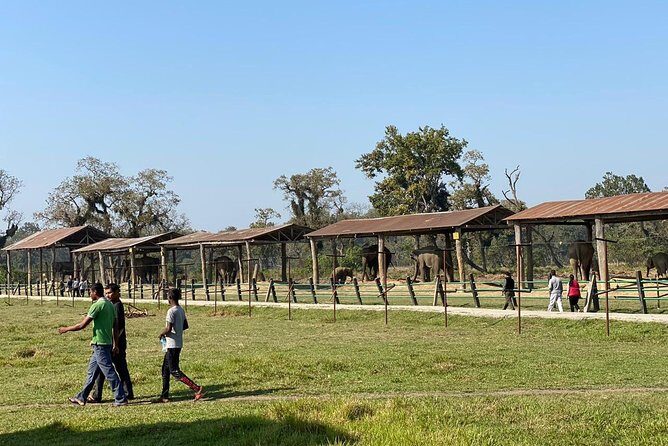 2 Nights 3 Days Chitwan Wildlife Jungle Safari Package Tour - The human side: service, small groups, and what to look for