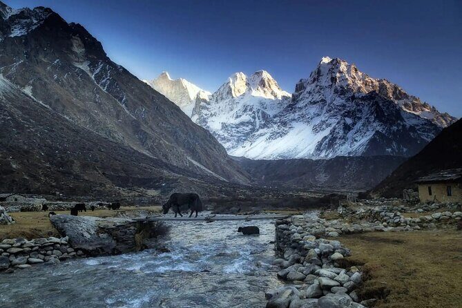 20 Days Private Kanchenjunga Circuit Trek - Into the Trek Proper: Amjilosa, Gyabla, and the Push Toward Ghunsa (Days 5–7)