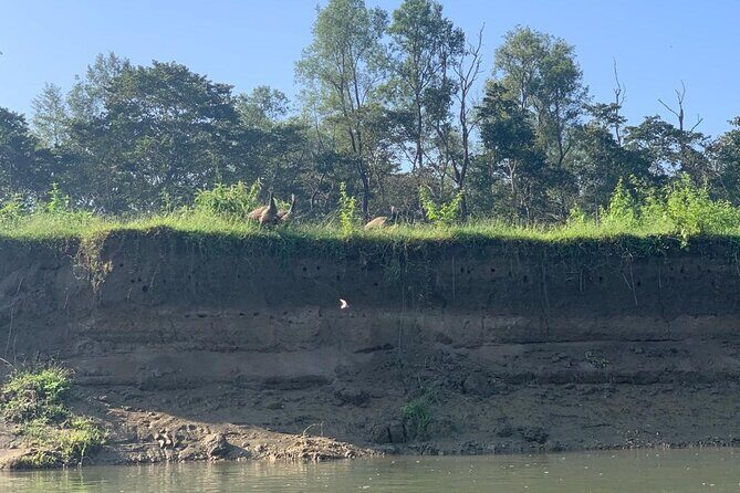 3-Day All Inclusive Chitwan Jungle Safari Tour From Kathmandu - Who This Safari Is For (And Who Might Want A Different Fit)