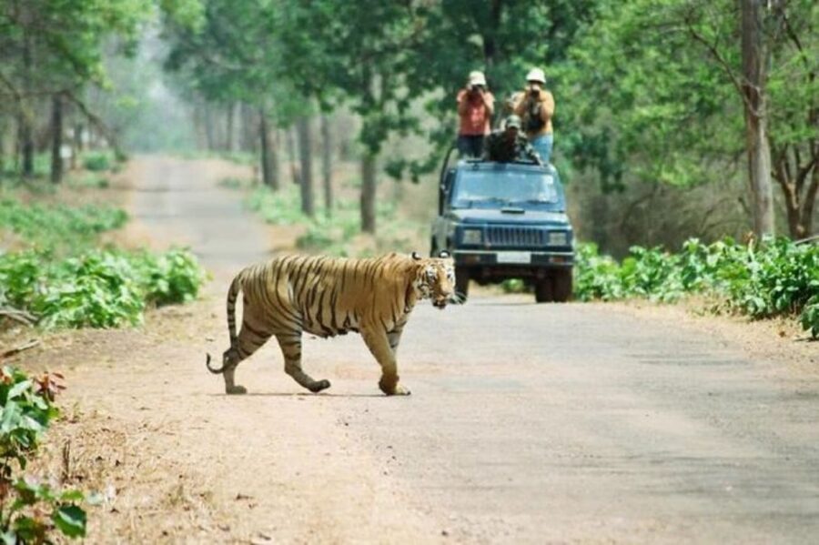 3-Day Chitwan Jungle Safari Adventure From Kathmandu/Pokhara - Key Highlights You’ll Feel Day by Day