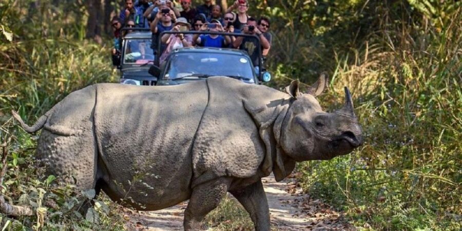 3-Day Chitwan Jungle Safari Adventure From Kathmandu/Pokhara - Food, Comfort, and the Resort Base in the Sauraha Area