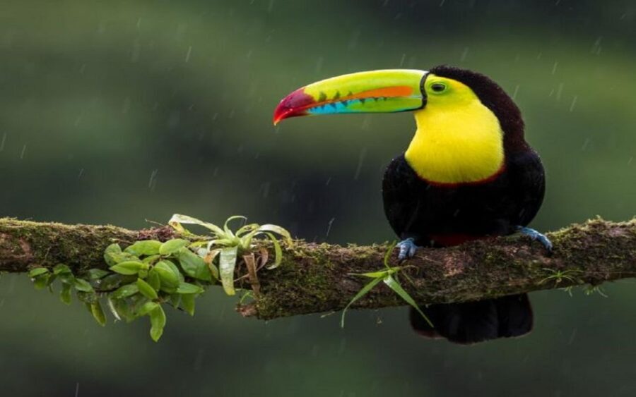 3-Day Chitwan Jungle Safari Adventure From Kathmandu/Pokhara - Price and Value: What $158 Really Buys You