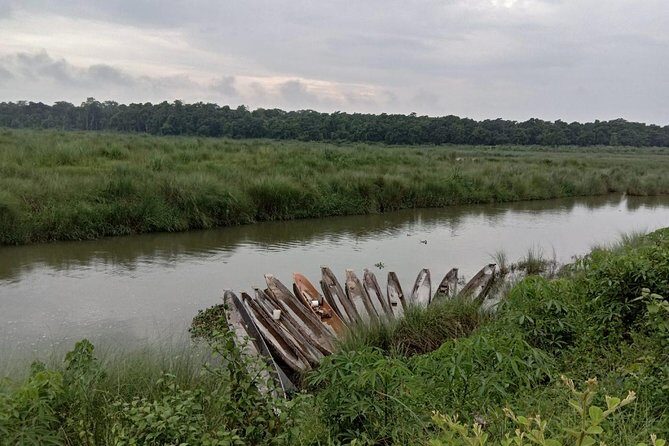 3-Day Chitwan Jungle Safari Tour from Kathmandu - Day 2: Rapti River canoe time and morning bird watching