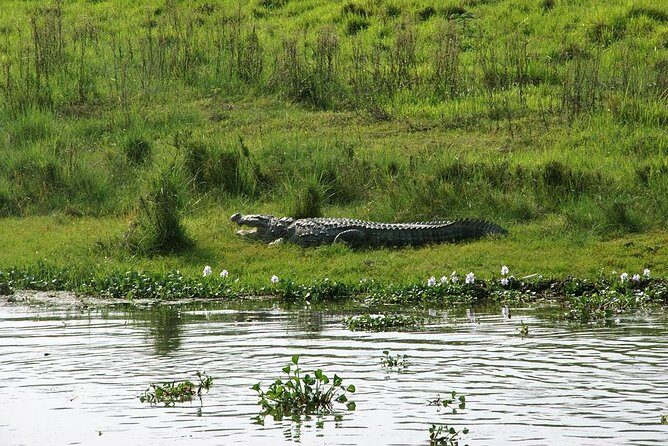 3-Day Chitwan Jungle Safari Tour from Kathmandu - Jeep safari time: how to get the most out of it