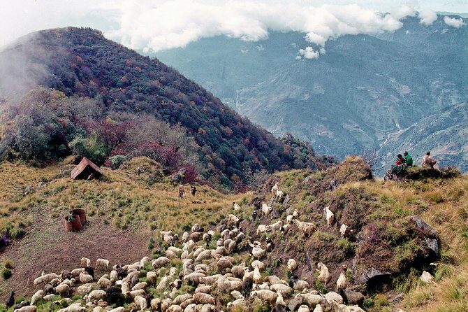 3-Day Ghandruk Loop Trek from Pokhara - What to Pack for Ghandruk Loop Comfort (and Fewer Surprises)
