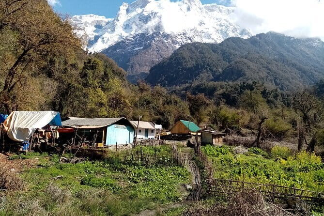 3 Day Kapuche Glacier Lake Trek with Siklesh from Pokhara - Day 3 village-morning views and the descent back to Pokhara