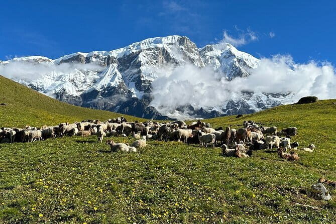3 Day Kapuche Glacier Lake Trek with Siklesh from Pokhara - Meals and what to pack for a trek where food is extra