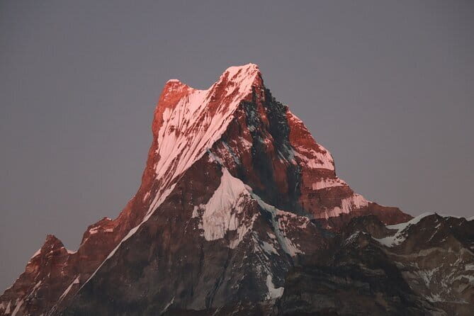 3 Day Mardi Himal Base Camp Trek from Pokhara - Day 1: Dhampus, checkpoint, Pothana, and the Forest Camp vibe