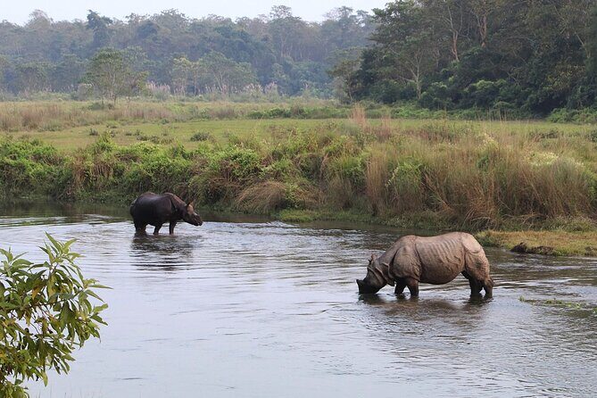 3 Days and 2 Nights Chitwan National Park Safari Tour in Pokhara - Group size and support: what max 15 really means on safari days