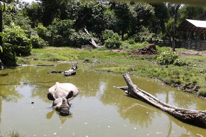 3 Days and 2 Nights Chitwan National Park Safari Tour in Pokhara - What to pack and how to time your day