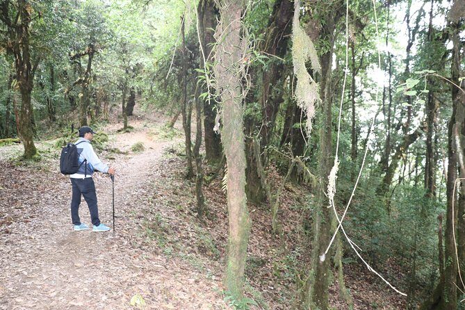 3 Night 4 Days Mardi Himal - Mardi Himal in 4 Days: A Short Trek With Real Mountain Time