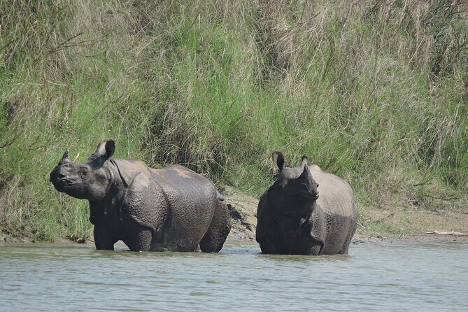 3 Nights 4 Days Bardia Tiger Tracking Tour | Bardia Jungle Safari - Key Highlights You’ll Feel Fast