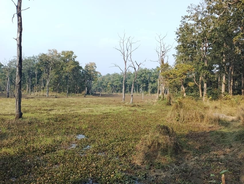 3 Nights 4 Days Chitwan National Park with Tower Night Stay - Price and what $424 covers (and where it might fall short)