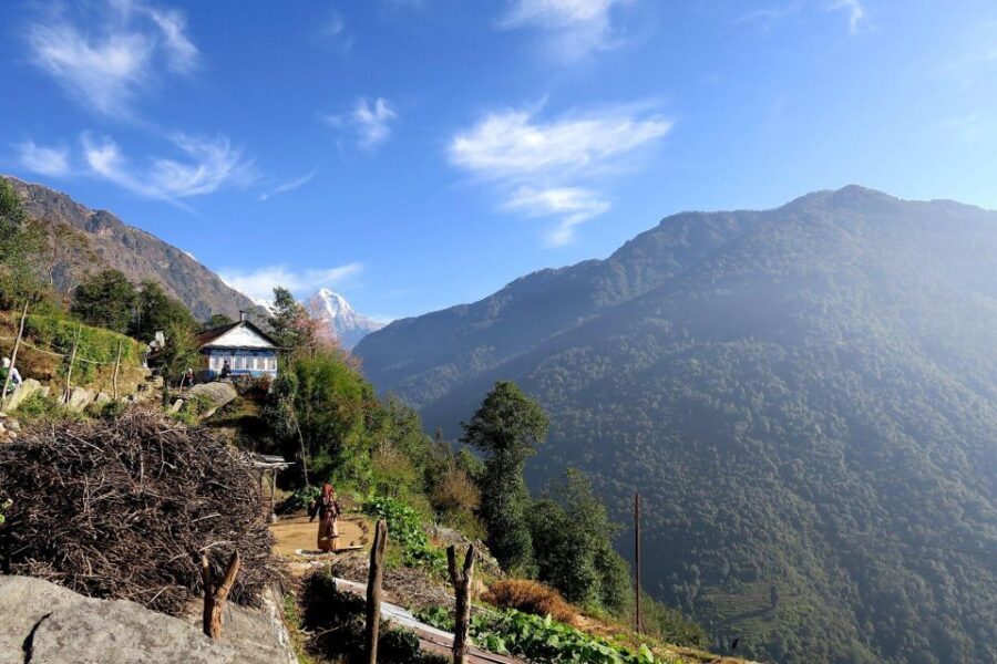 4 Day Poon Hill Trek from Pokhara - Guest Houses, Meals, And The Real Cost Of Feeding Your Legs